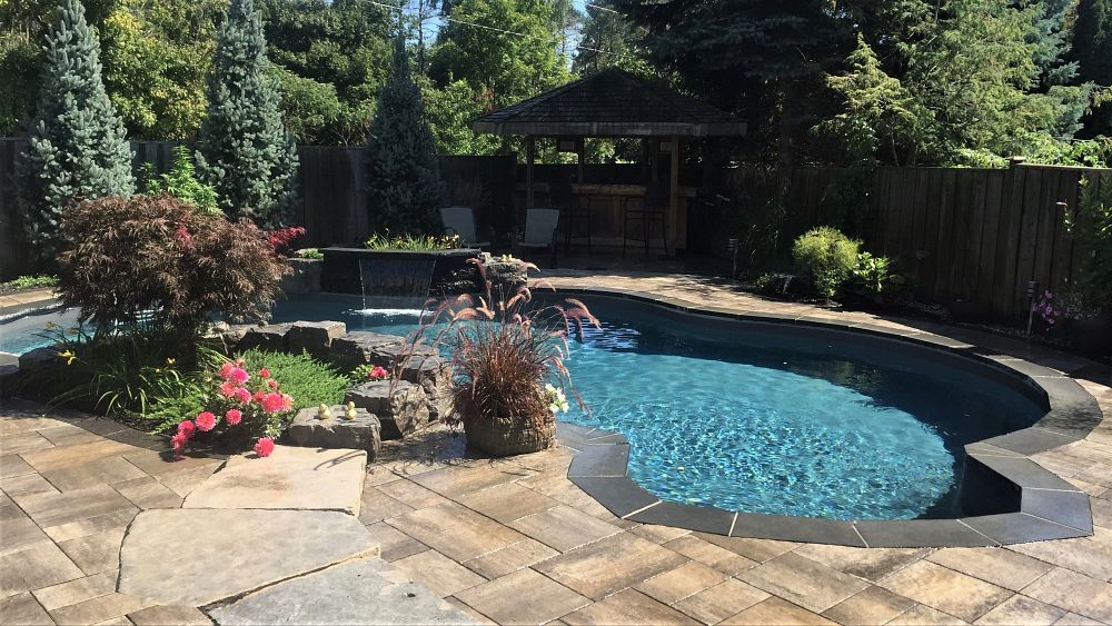 freeform shape pool in backyard surrounded by a stone patio and trees