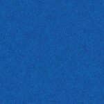 Cobalt Cypress